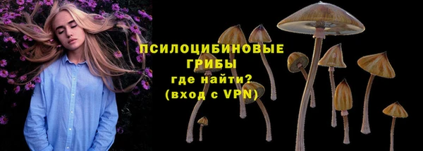 первитин Белоозёрский
