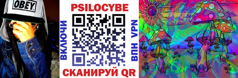 Галлюциногенные грибы мухоморы  купить наркоту  Ефремов 